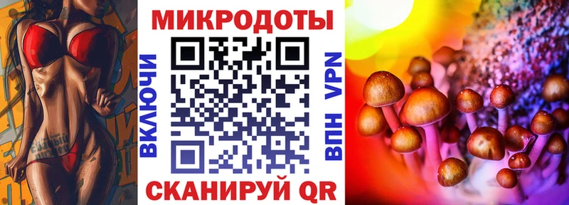 Псилоцибиновые грибы Psilocybine cubensis  Алдан 